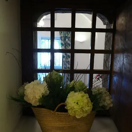 Casa Ide * メタ